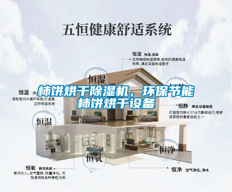 柿饼烘干草莓视频APP在线观看，环保节能柿饼烘干设备