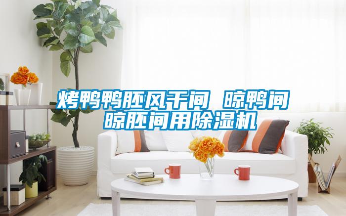 烤鸭鸭胚风干间 晾鸭间 晾胚间用草莓视频APP在线观看