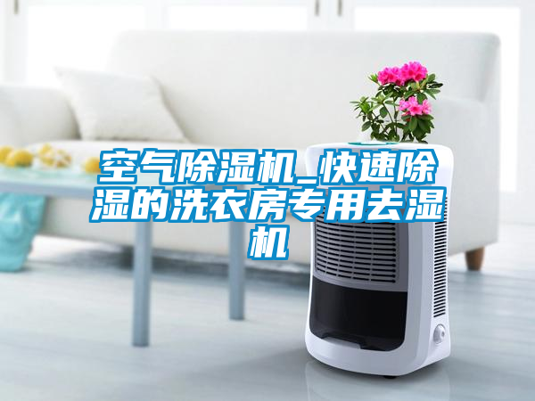 空气草莓视频APP在线观看_快速除湿的洗衣房专用去湿机