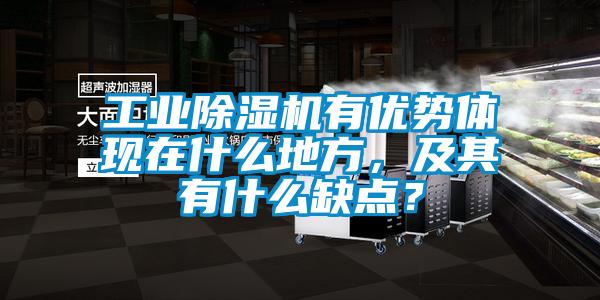 工业草莓视频APP在线观看有优势体现在什么地方，及其有什么缺点？