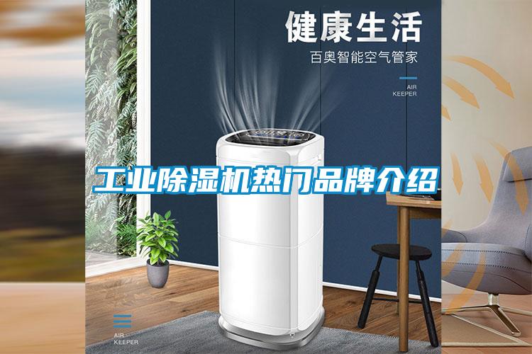 工业草莓视频APP在线观看热门品牌介绍