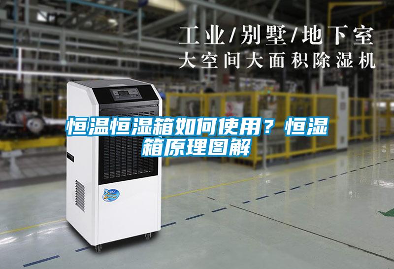 恒温恒湿箱如何使用？恒湿箱原理图解