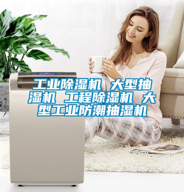 工业草莓视频APP在线观看 大型抽湿机 工程草莓视频APP在线观看 大型工业防潮抽湿机