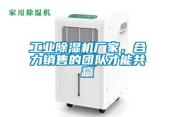 工业草莓视频APP在线观看厂家，合力销售的团队才能共赢