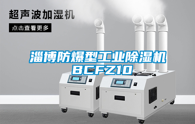 淄博防爆型工业草莓视频APP在线观看 BCFZ10
