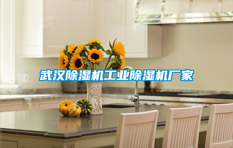 武汉草莓视频APP在线观看工业草莓视频APP在线观看厂家