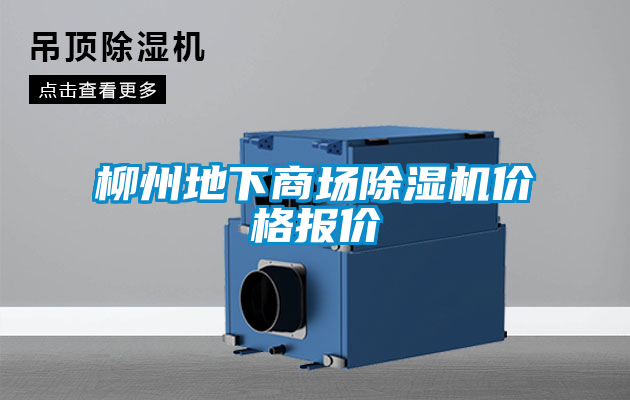 柳州地下商场草莓视频APP在线观看价格报价
