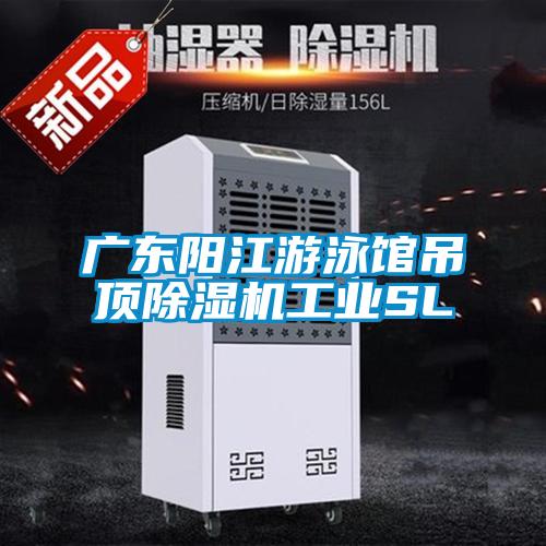 广东阳江游泳馆吊顶草莓视频APP在线观看工业SL