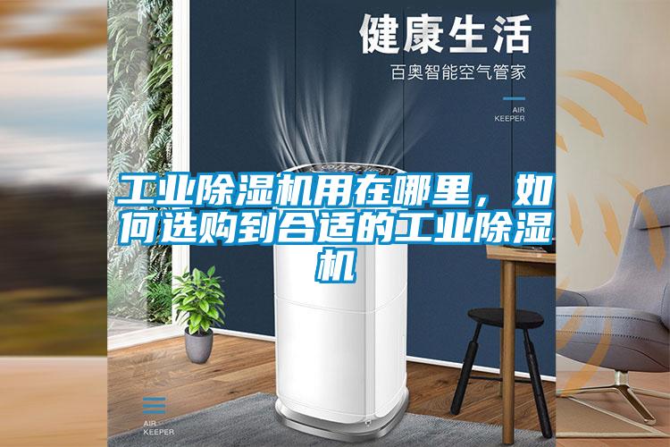 工业草莓视频APP在线观看用在哪里，如何选购到合适的工业草莓视频APP在线观看