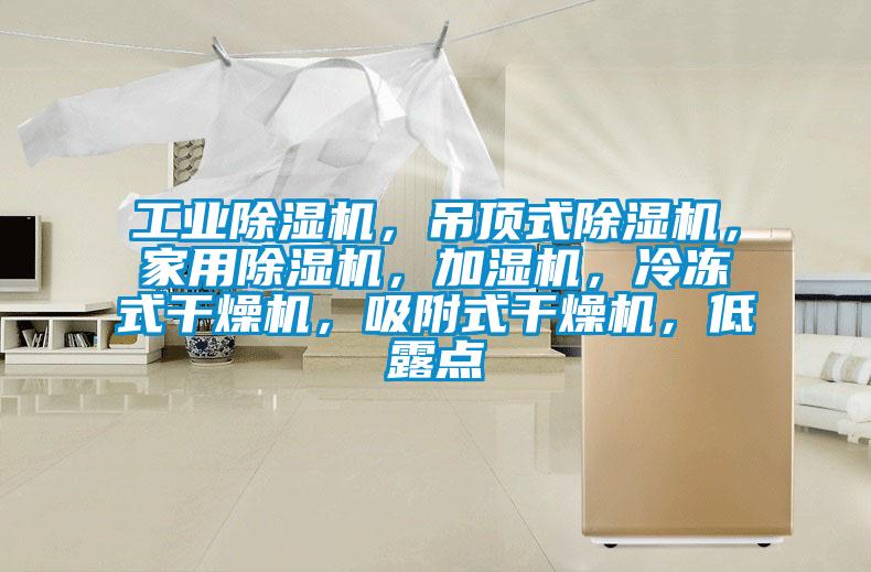 工业草莓视频APP在线观看，吊顶式草莓视频APP在线观看，家用草莓视频APP在线观看，加湿机，冷冻式干燥机，吸附式干燥机，低露点