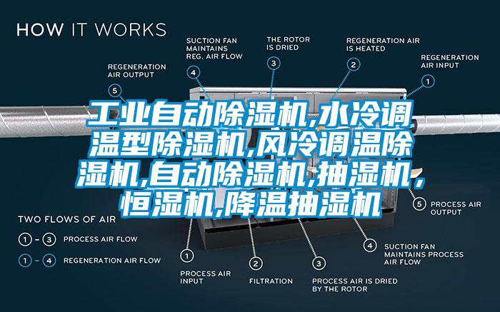 工业自动草莓视频APP在线观看,水冷调温型草莓视频APP在线观看,风冷调温草莓视频APP在线观看,自动草莓视频APP在线观看,抽湿机，恒湿机,降温抽湿机