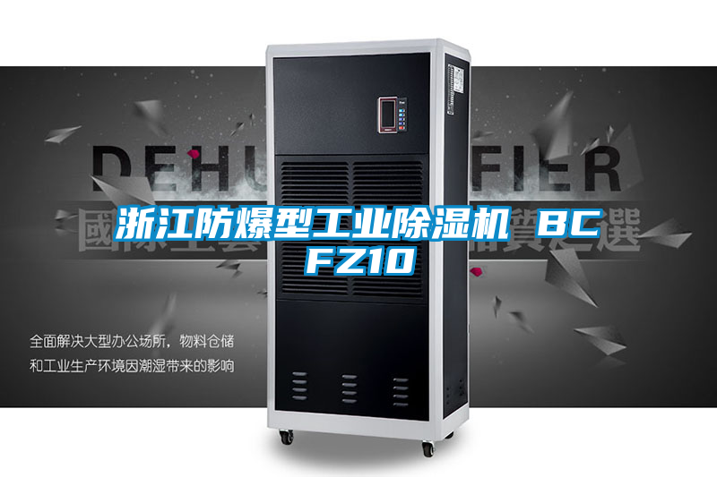 浙江防爆型工业草莓视频APP在线观看 BCFZ10