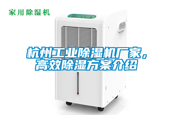杭州工业草莓视频APP在线观看厂家，高效除湿方案介绍