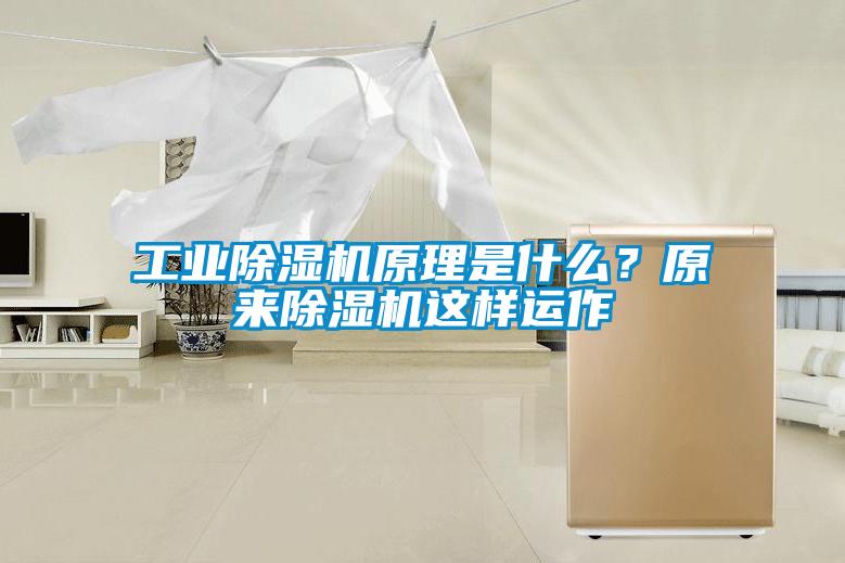 工业草莓视频APP在线观看原理是什么？原来草莓视频APP在线观看这样运作
