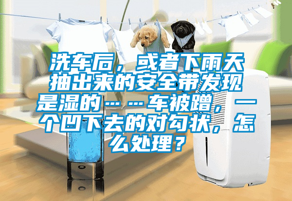 洗车后，或者下雨天抽出来的安全带发现是湿的……车被蹭，一个凹下去的对勾状，怎么处理？