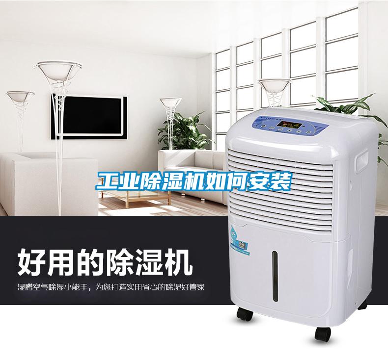 工业草莓视频APP在线观看如何安装