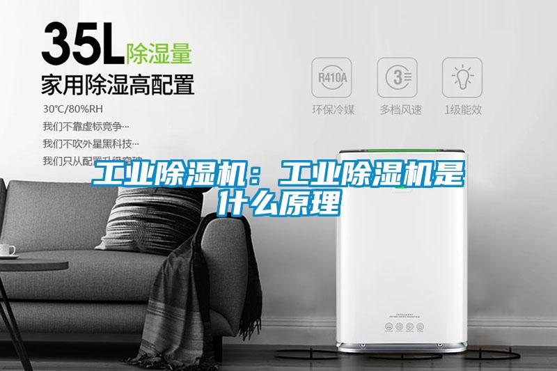 工业草莓视频APP在线观看：工业草莓视频APP在线观看是什么原理
