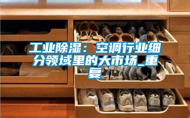 工业除湿：空调行业细分领域里的大市场_重复