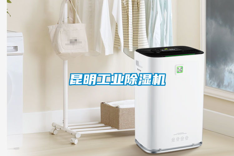 昆明工业草莓视频APP在线观看