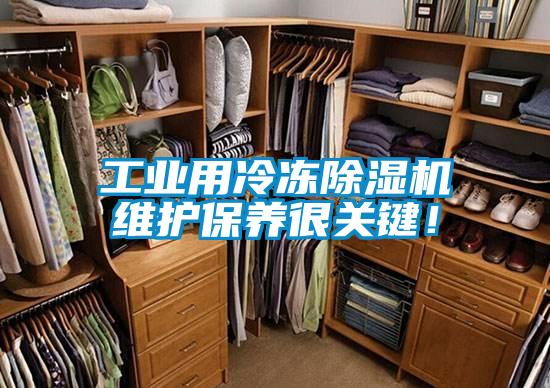 工业用冷冻草莓视频APP在线观看维护保养很关键！