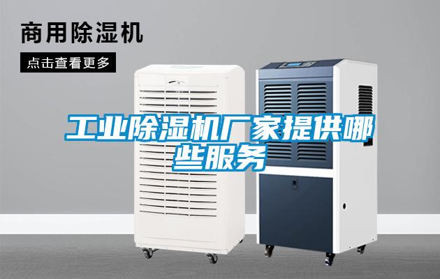 工业草莓视频APP在线观看厂家提供哪些服务