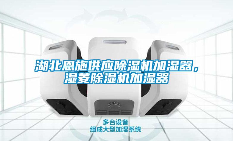 湖北恩施供应草莓视频APP在线观看加湿器，湿菱草莓视频APP在线观看加湿器