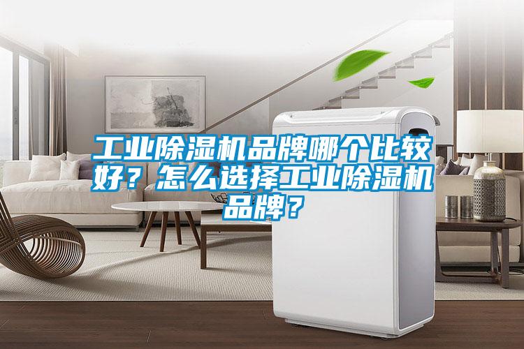 工业草莓视频APP在线观看品牌哪个比较好？怎么选择工业草莓视频APP在线观看品牌？