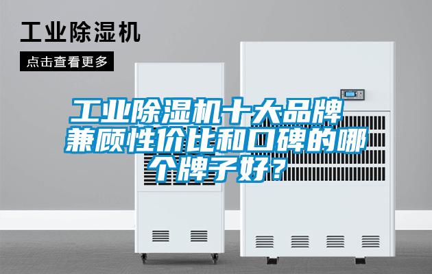 工业草莓视频APP在线观看十大品牌 兼顾性价比和口碑的哪个牌子好？