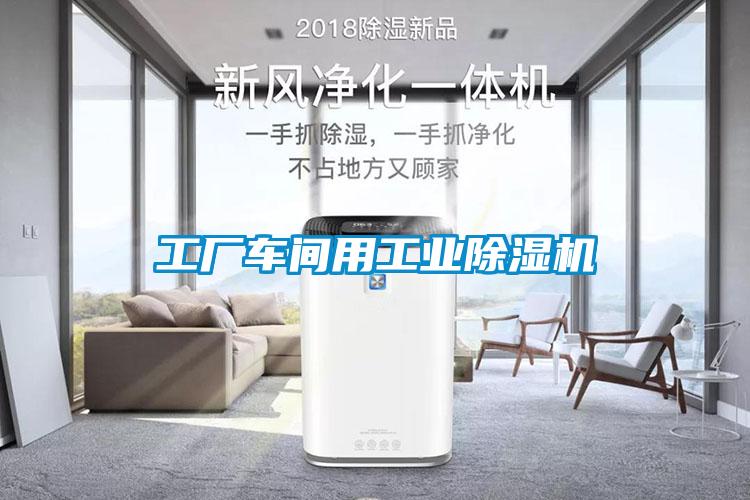工厂车间用工业草莓视频APP在线观看