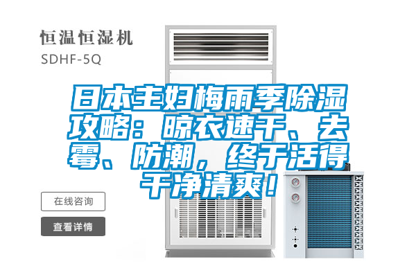 日本主妇梅雨季除湿攻略：晾衣速干、去霉、防潮，终于活得干净清爽！