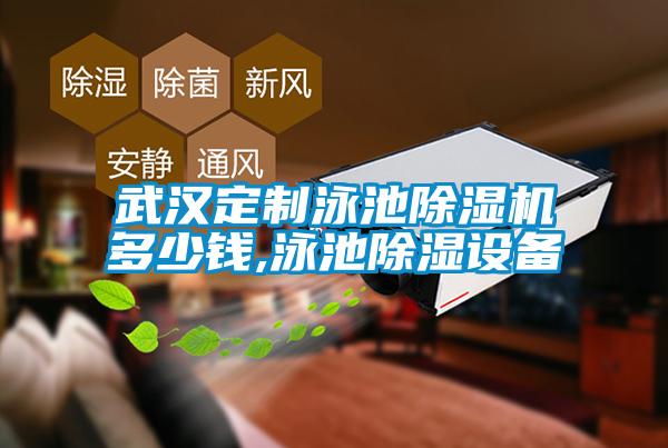 武汉定制泳池草莓视频APP在线观看多少钱,泳池除湿设备