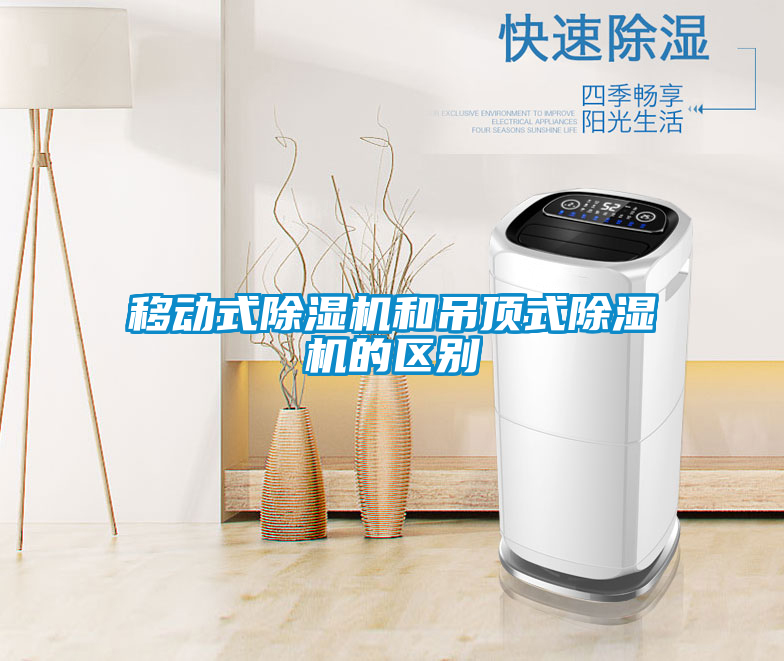 移动式草莓视频APP在线观看和吊顶式草莓视频APP在线观看的区别