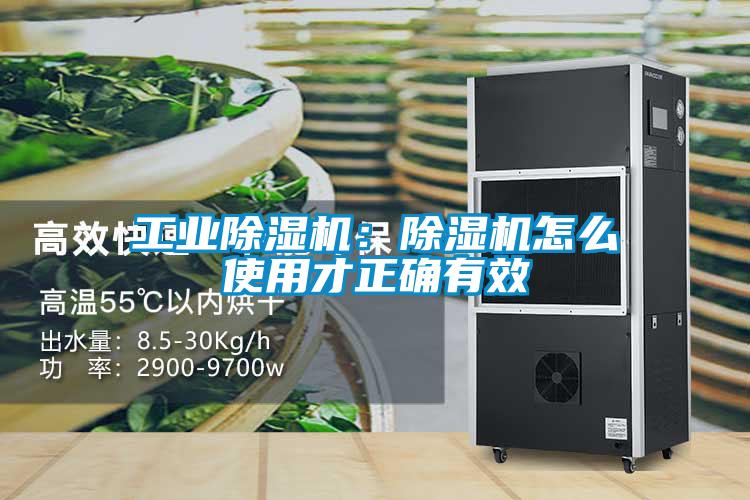 工业草莓视频APP在线观看：草莓视频APP在线观看怎么使用才正确有效