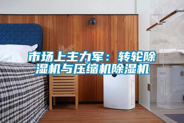市场上主力军：转轮草莓视频APP在线观看与压缩机草莓视频APP在线观看