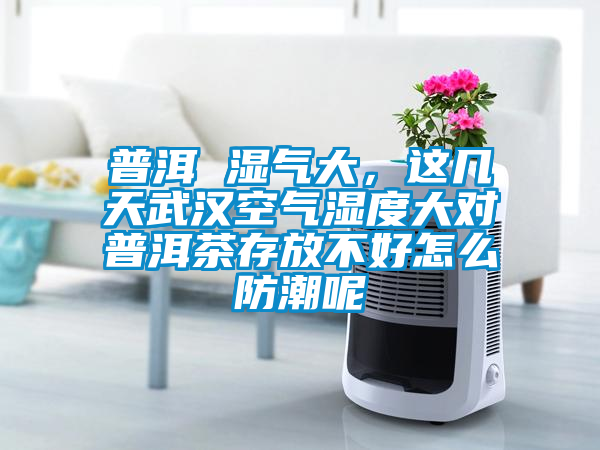 普洱 湿气大，这几天武汉空气湿度大对普洱茶存放不好怎么防潮呢