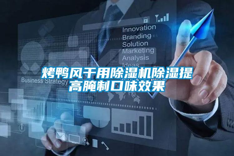 烤鸭风干用草莓视频APP在线观看除湿提高腌制口味效果