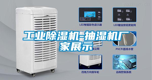 工业草莓视频APP在线观看-抽湿机厂家展示