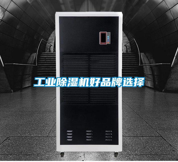 工业草莓视频APP在线观看好品牌选择