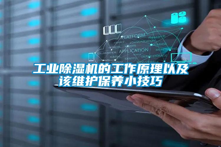 工业草莓视频APP在线观看的工作原理以及该维护保养小技巧