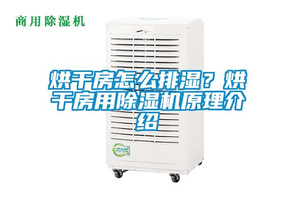 烘干房怎么排湿？烘干房用草莓视频APP在线观看原理介绍