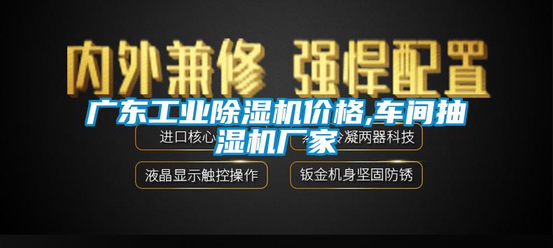 广东工业草莓视频APP在线观看价格,车间抽湿机厂家