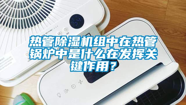 热管草莓视频APP在线观看组中在热管锅炉中是什么在发挥关键作用？
