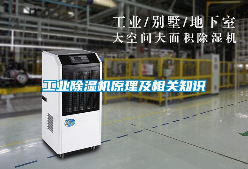 工业草莓视频APP在线观看原理及相关知识