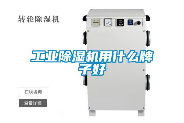 工业草莓视频APP在线观看用什么牌子好