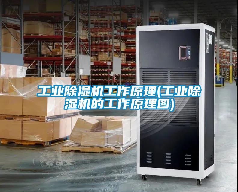 工业草莓视频APP在线观看工作原理(工业草莓视频APP在线观看的工作原理图)