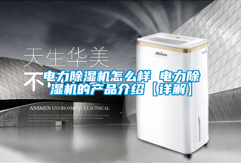 电力草莓视频APP在线观看怎么样 电力草莓视频APP在线观看的产品介绍【详解】