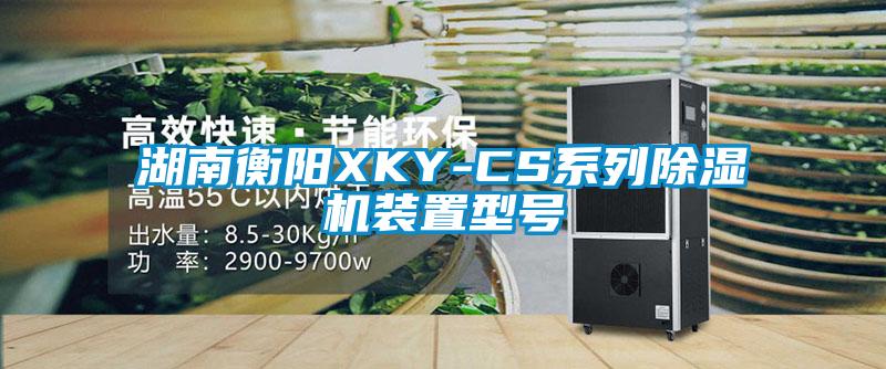 湖南衡阳XKY-CS系列草莓视频APP在线观看装置型号