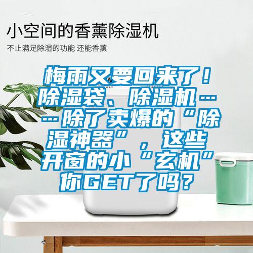 梅雨又要回来了！除湿袋、草莓视频APP在线观看……除了卖爆的“除湿神器”，这些开窗的小“玄机”你GET了吗？