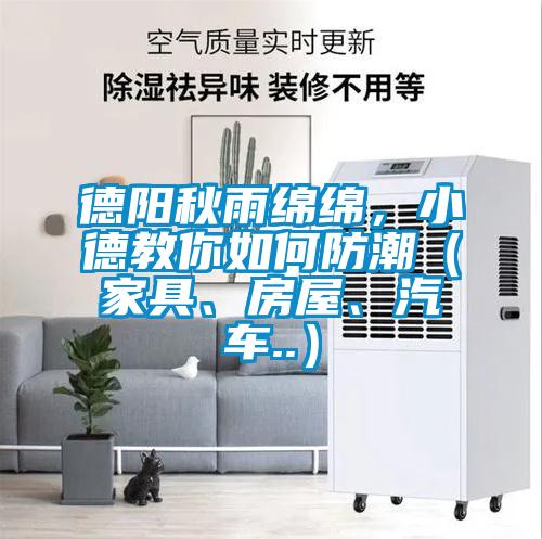 德阳秋雨绵绵，小德教你如何防潮（家具、房屋、汽车..）