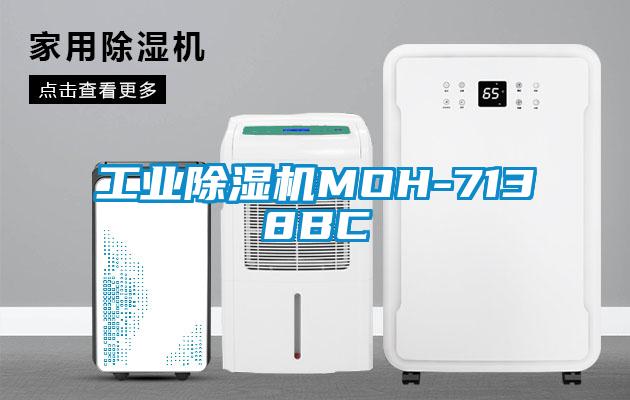 工业草莓视频APP在线观看MOH-7138BC